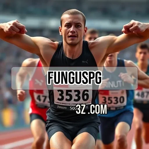 Os Malabarismos da Seção Card no funguspg.com